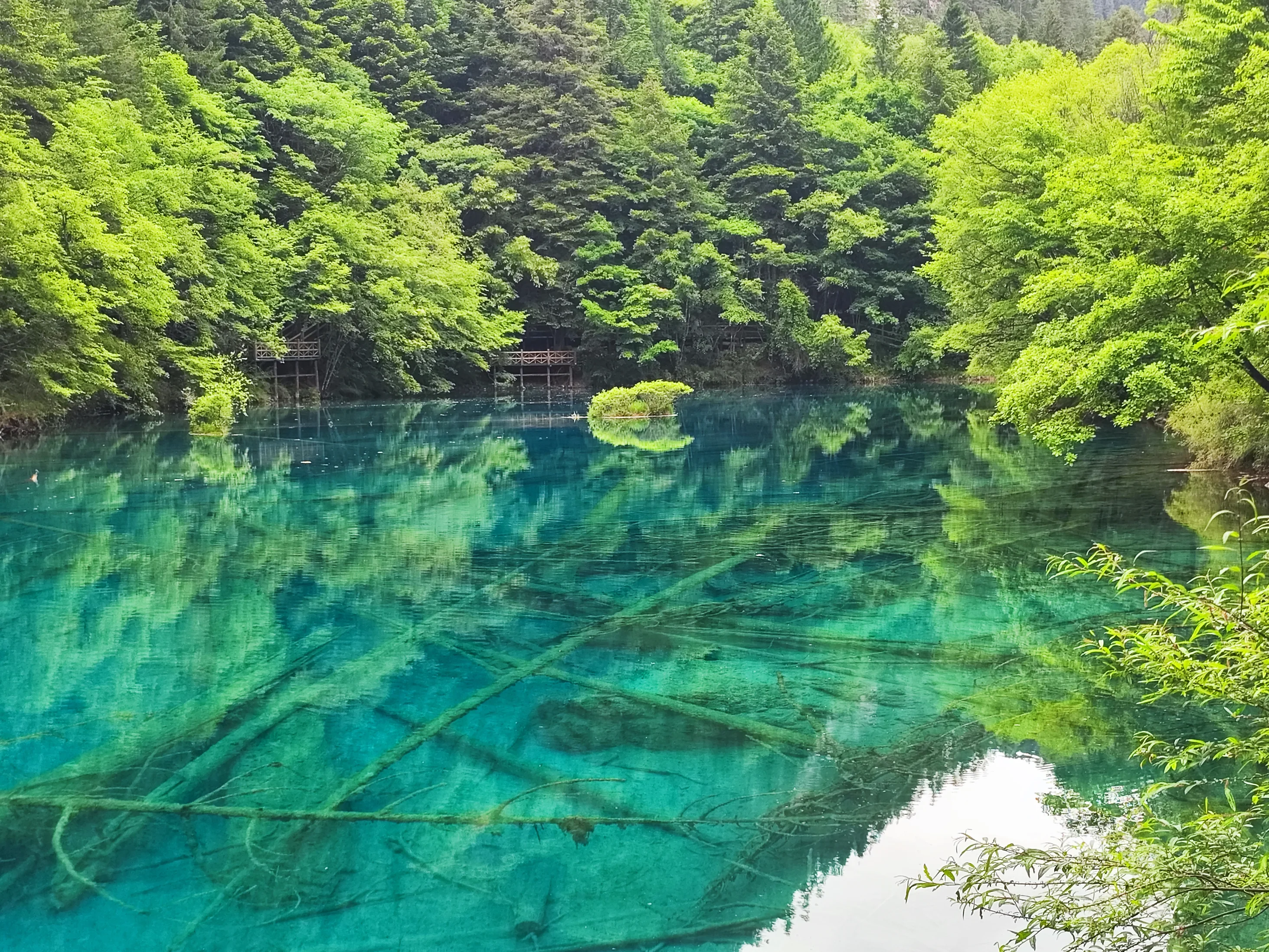 我们